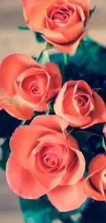 Close-up of pink roses with lush green leaves in a floral display.