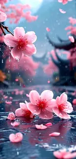 Cherry blossoms with raindrops in a serene setting.