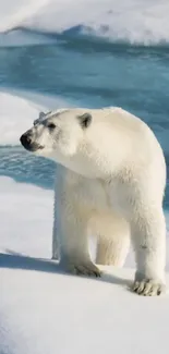 Polar bear standing on Arctic ice in a serene landscape.