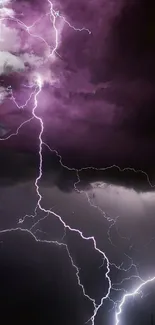 Purple lightning bolts illuminate a dark stormy sky.