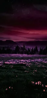 Purple night sky above a field, ideal for mobile wallpaper.