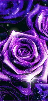 Purple rose wallpaper with galaxy-inspired design.