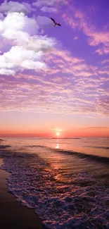 Purple sunset beach with waves and a bird in the sky.