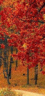 Red autumn leaves in a tranquil forest setting.