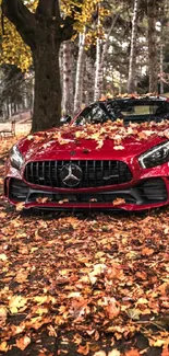 Red sports car covered with autumn leaves in a forest setting.