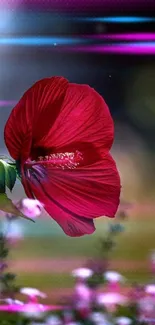 Red hibiscus flower against blurred nature background.