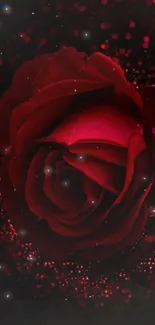 Close-up of a red rose with sparkles on a dark background.