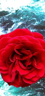 Red rose with a water backdrop fills the screen.