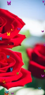 Vibrant red roses on blurred background, ideal for mobile wallpaper.