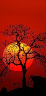 Silhouette of a tree against a vibrant red sunset background.