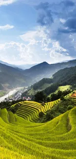 A vibrant landscape of rice terraces and blue skies.