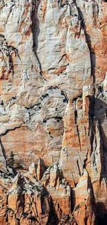 Majestic rock cliff with earthy tones and detailed textures for wallpaper.