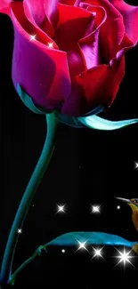 Vibrant red rose and bird on a black background with stars.