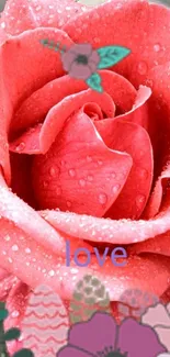 Romantic pink rose with raindrops and love text.