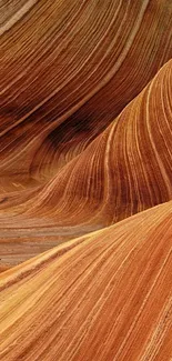 Stunning sandstone wave art in warm earthy tones.