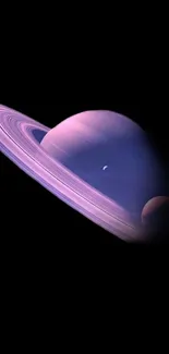 Purple ringed planet against dark space.