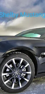 Shelby Mustang car in black with cloudy sky background.