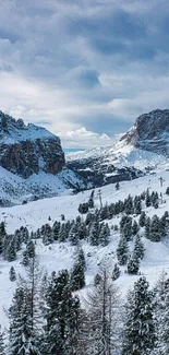 Snowy mountain range with evergreen trees under a cloudy blue sky.