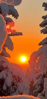 Snowy landscape with a vibrant sunset.