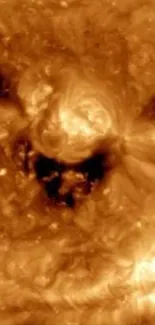 High-resolution image of the sun's surface showing vivid solar details.