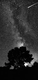 Silhouetted trees under a stunning starry sky.