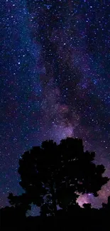 Starry night sky with galaxy and tree silhouette.