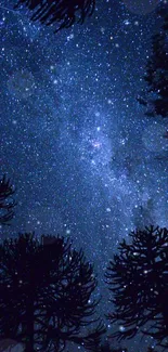 Starry night sky with silhouetted trees.