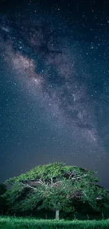 Green tree under a starry night sky with the Milky Way visible.