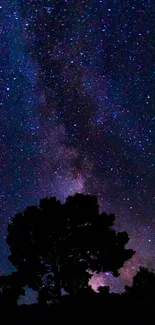 Starry night sky with silhouetted trees and cosmic view.