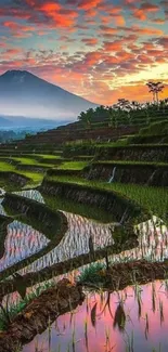 Sunrise over rice terraces with mountain and vibrant sky.