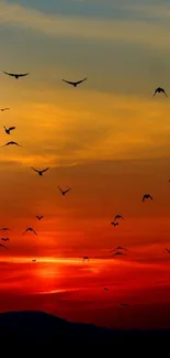 Bird silhouettes against a beautiful red sunset sky.