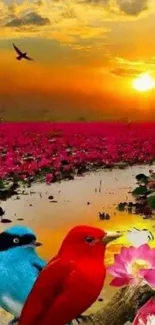 Colorful birds at sunset with reflection on lotus pond.