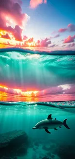 Dolphin swimming under a vibrant sunset in an oceanic setting.