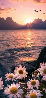 Daisies in foreground with sunset over lake and mountains.