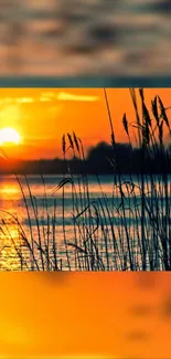 Lake view at sunset with warm orange glow and reeds.