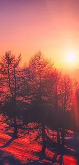 Sunset over snowy mountains with silhouetted trees.