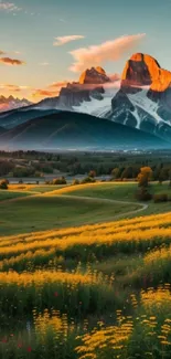 Beautiful sunset over mountains with fields of yellow flowers.