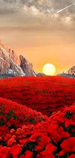 Sunset over red flower field with mountains.