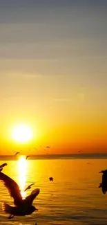 Beautiful sunset over the ocean with silhouetted flying birds.