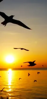 Sunset over ocean with flying birds silhouetted by the warm evening sky.