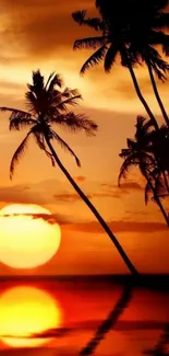 Tropical palm trees silhouetted against a vibrant sunset sky.