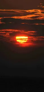 Vibrant orange sunset with dark clouds and sun rays on phone wallpaper.