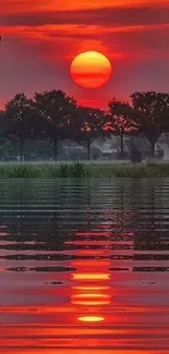 Vibrant sunset over a calm lake with trees reflecting on the water.