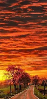 Fiery sunset sky over a scenic road.