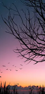 Silhouette of branches against a vibrant sunset sky with scattered stars and flying birds.