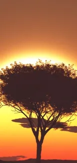 Silhouette of a tree against a vibrant sunset sky.