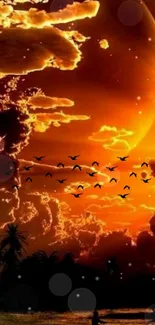 Sunset with orange clouds and birds on a mobile wallpaper.