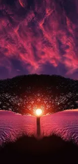 Pink and purple sunset with tree silhouette centred.