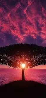 Silhouette of a tree against a vibrant sunset with purple and pink hues.