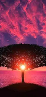 Stunning wallpaper with tree silhouette against a vibrant sunset sky.